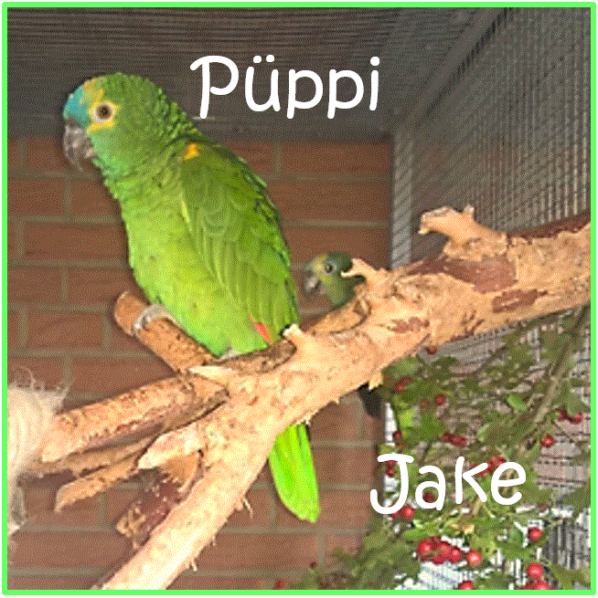 Amazonen Jake und Püppi