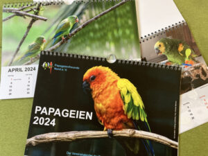 Papageien Kalender 2024